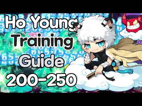 Hoyoung Training Guide 200 - 250