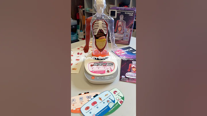 Human Body Model Anatomy Kit #health #humanbody #anatomy #science #sciencemodel #homeschoolingfun thumbnail