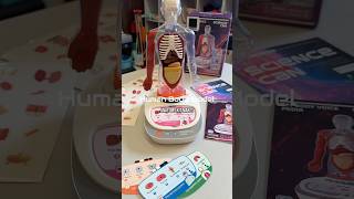 Human Body Model Anatomy Kit #health #humanbody #anatomy #science #sciencemodel #homeschoolingfun Human Body Model Anatomy Kit #health #humanbody #anatomy #science #sciencemodel #homeschoolingfun