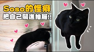 【黃阿瑪的後宮生活】Soso的怪癖把自己關進抽屜