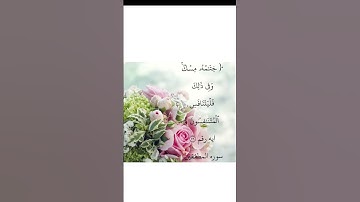 ايه رقم ٢٦ من سورة المطففين.. بصوت الشيخ ابوبكر الشطرى