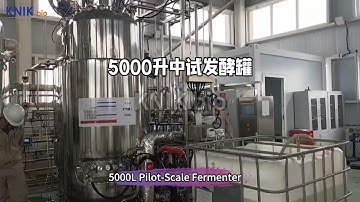 Unlock Scalable Bioprocessing | KNIKbio’s 5000L Pilot-Scale Fermenter for Industrial Innovation