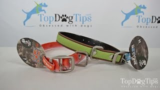 no stink dog collar