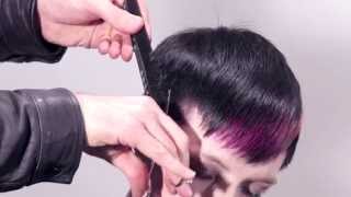 Auster Academy Educational Collection 2014 - URBAN PIXIE