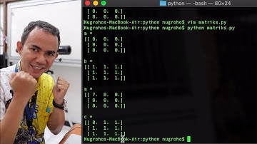 Mengolah Matriks menggunakan Numpy di Python