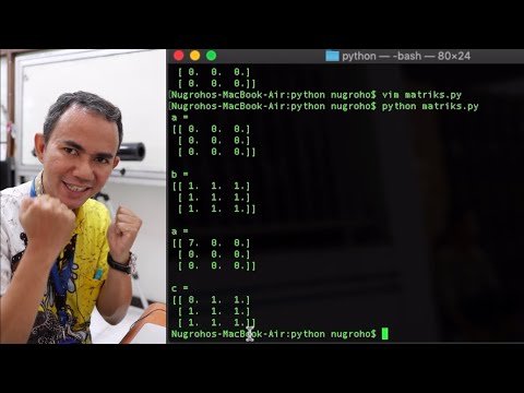 Mengolah Matriks menggunakan Numpy di Python