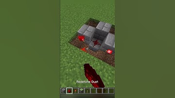 Double Block swapper in Minecraft #minecraft  #shorts