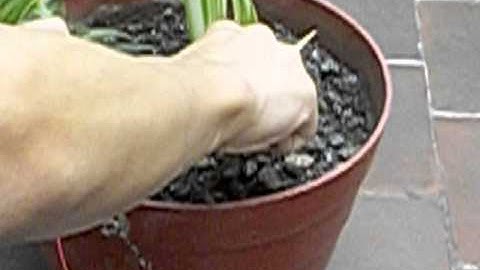 Sensor humedad Parte 1