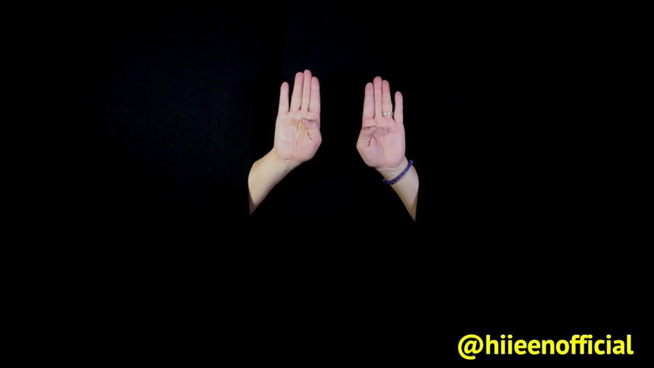 Sign Language of the artist - YouTube