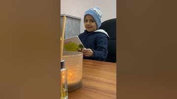 القارئ الماهر