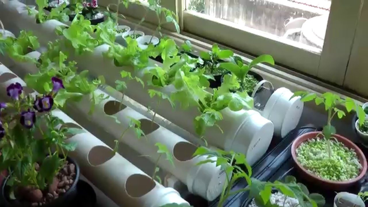 Hidroponia Caseira NFT 7 