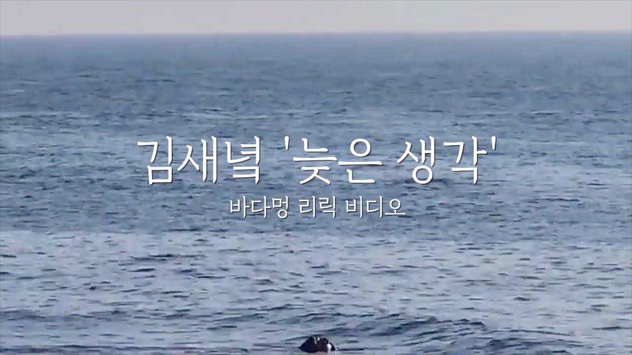 김새녘 Saeneok - 늦은 생각 Regretful [바다멍 LYRICS VIDEO]