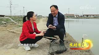 《生财有道》 20230406 生态中国沿海行——江苏启东：长江入海 启吾东疆| 财经风云
