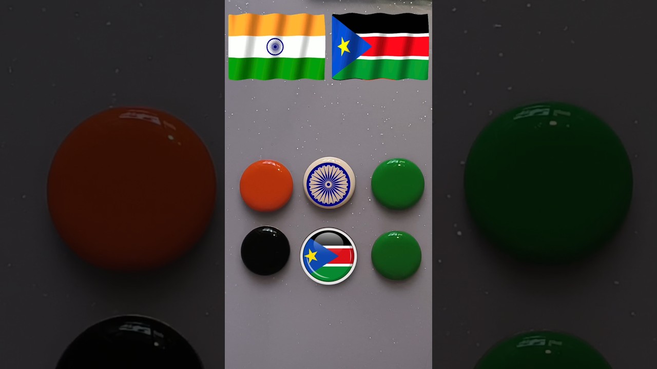 Republic day special coin painting 