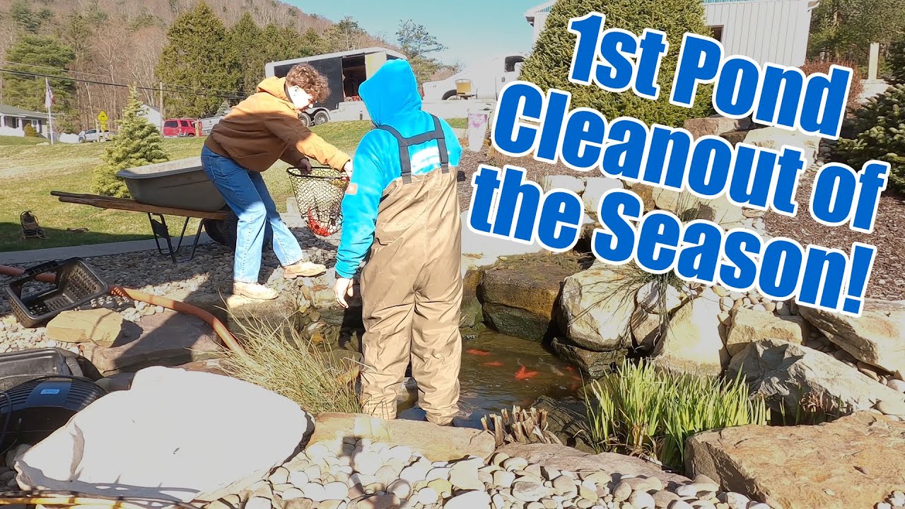 1ST POND CLEAN OUT OF THE SEASON - YouTube