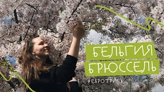 БЕЛЬГИЯ. Брюссель за 1 день: достопримечательности, цены, атмосфера, бельгийские вафли🙃