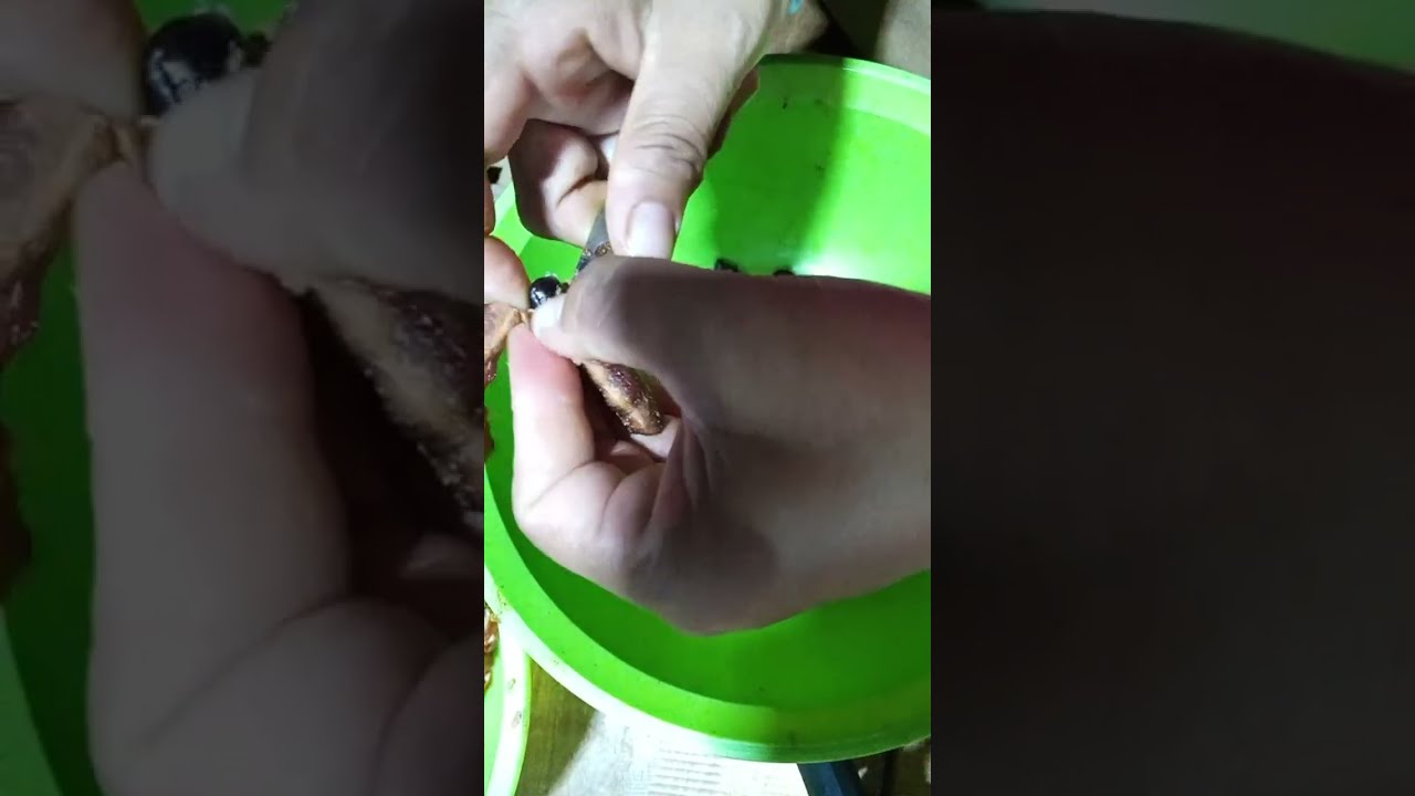 แม่น้องเนย กำลังถ่ายทอดสด!