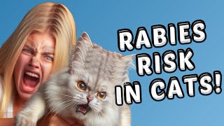 Don't Miss These Symptoms: Could Your Cat Have Rabies / Rabies in Cats / Cat Grooming Guru
