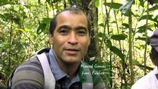Ervas e Plantas | As Ervas de Rio Branco - AC