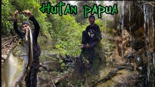 Petualangan hutan Papua berburu ikan sidat