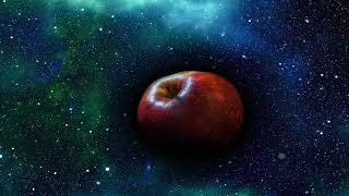 Ayni Yekane Sende İnsansin