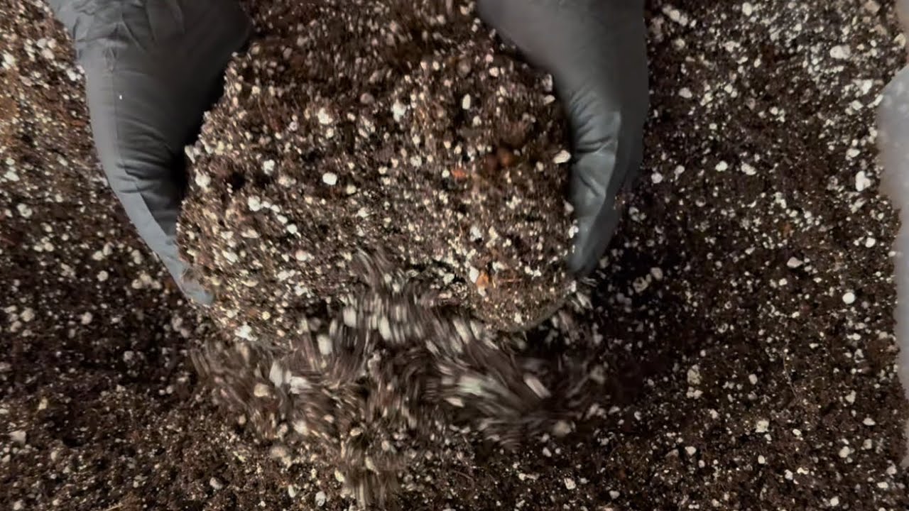 The Custom Blend 🌱 High-Drainage FoxFarm & Miracle-Gro Tropical & Perlite Mix