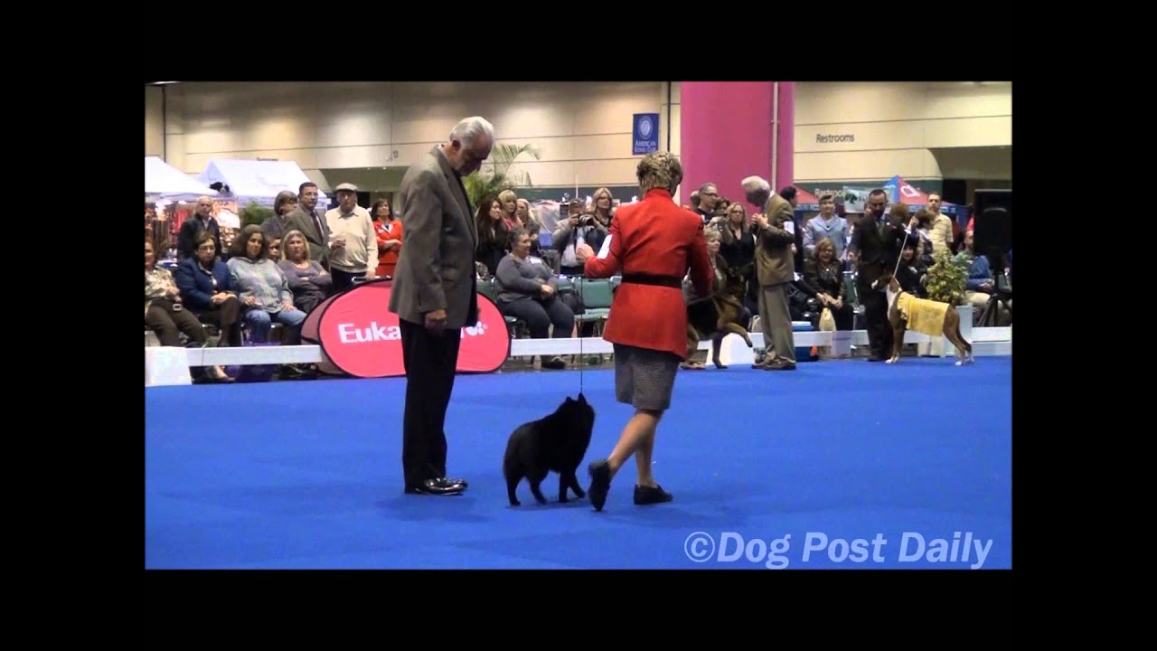 Central Florida Kennel Club Central Florida Kennel Club