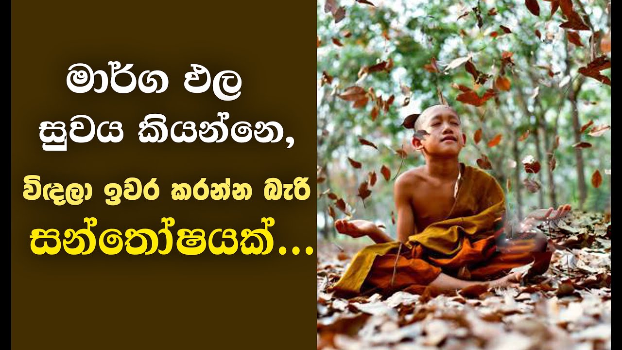 විශ්වයෙන්ම නිර්මාණය වෙලා, විශ්වය තුලම සැගව යන විඤ්ඤාණය... _Niwan Dakimu