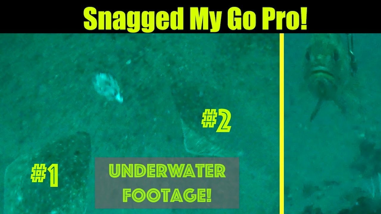 Underwater Halibut Snagged My Go Pro! Underwater Halibut Fishing