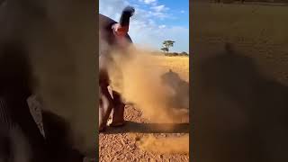 Hippo Pranks Hyenas With The Ultimate Fart 