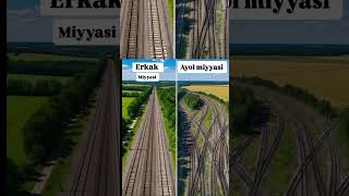 Erkak Va Ayol Miyyasi