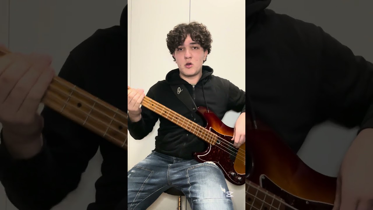 TOOL - The Pot bass cover / Pietro Travaglini 