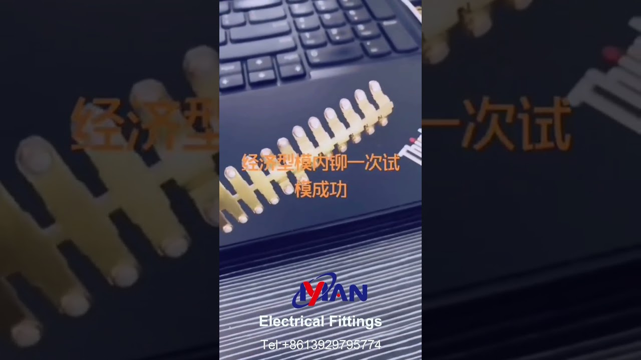 Progressive die for connection terminal，wiring terminal making