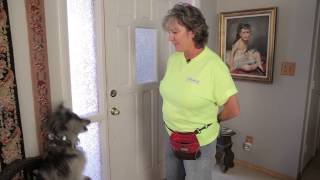 How to Get Your Dog to Start Barking at People at the Front Door Dog Training Care