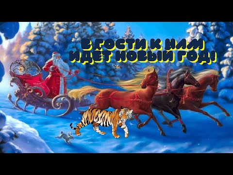 Новогоднее слайд шоу 2022. Тигр идет - встречайте!