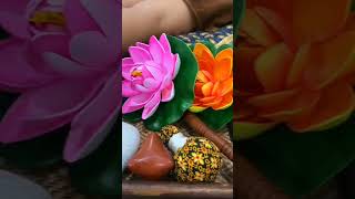 Outcall Massage in Bangkok Siam Tulip 🌷