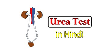 Urea test in hindi || urea estimation || interpretation