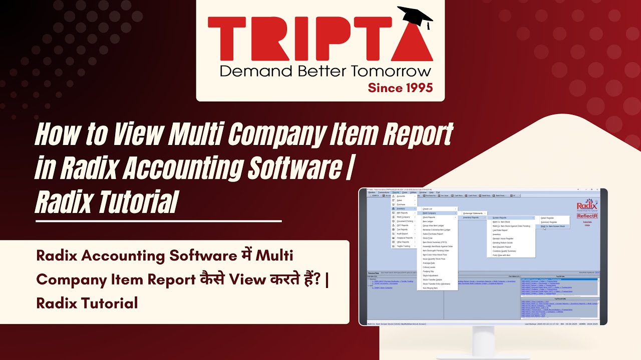 How to View Multi Company Item Report in Radix Accounting Software ...