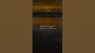 حالات واتس اب مؤثرة | اية تهز قلبك بصوت القارئ | Quran Status, 91 (3)