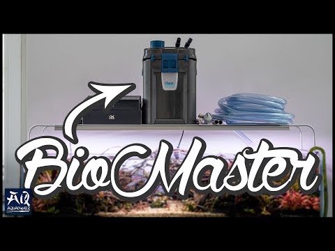 Der beste Thermofilter auf dem Markt? | AquaOwner