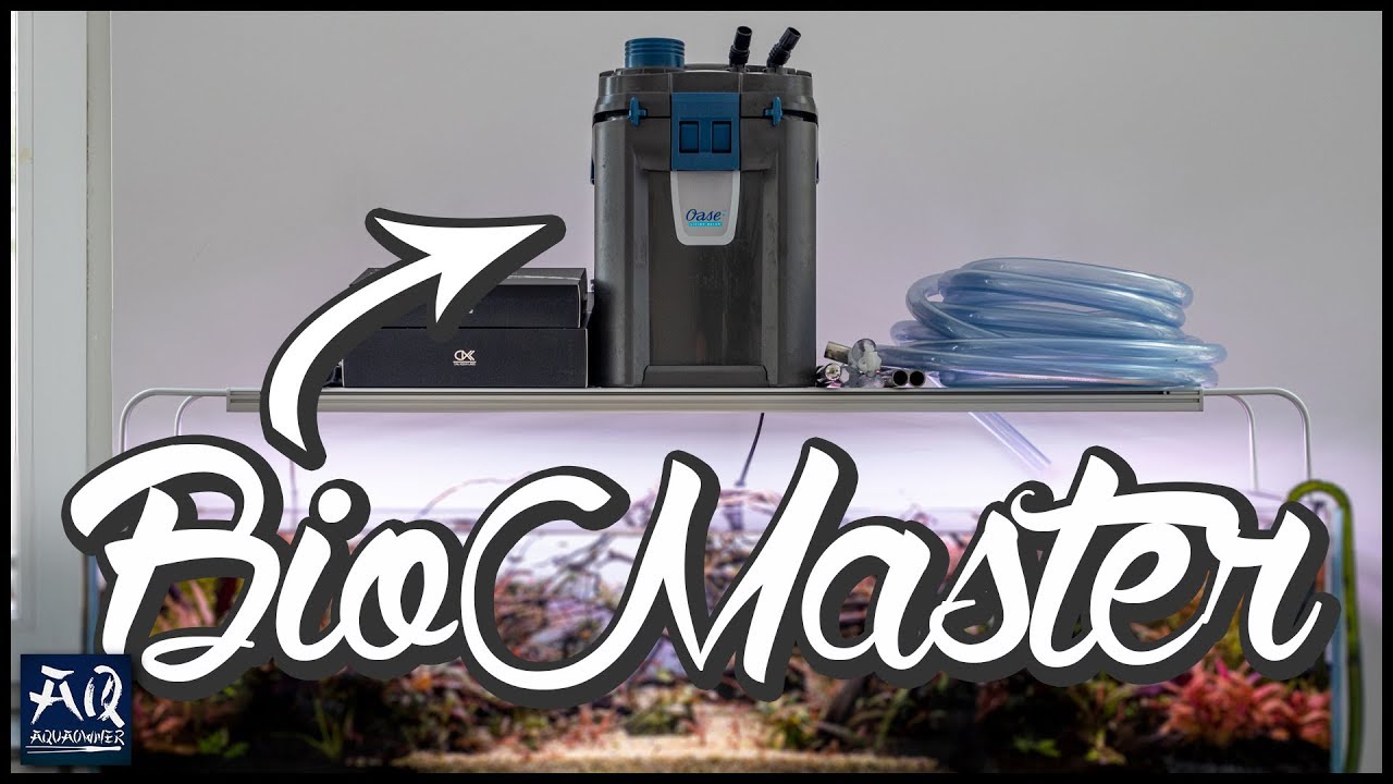 Der beste Thermofilter auf dem Markt? | AquaOwner