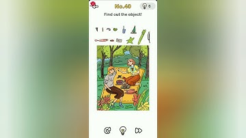 Brain Out Level 40 find out the object!