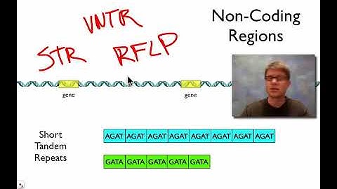 Algorithms of Bioinformatics (Winter 2025-26) 6-4 Tandem Repeats