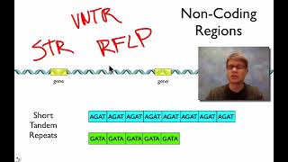 Algorithms of Bioinformatics (Winter 2025-26) 6-4 Tandem Repeats