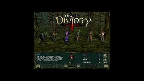 Divine Divinity - Characters introduction