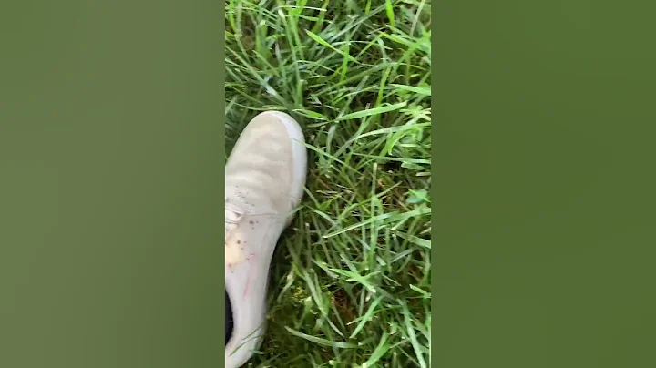 Eco-friendly living tips for a sustainable future