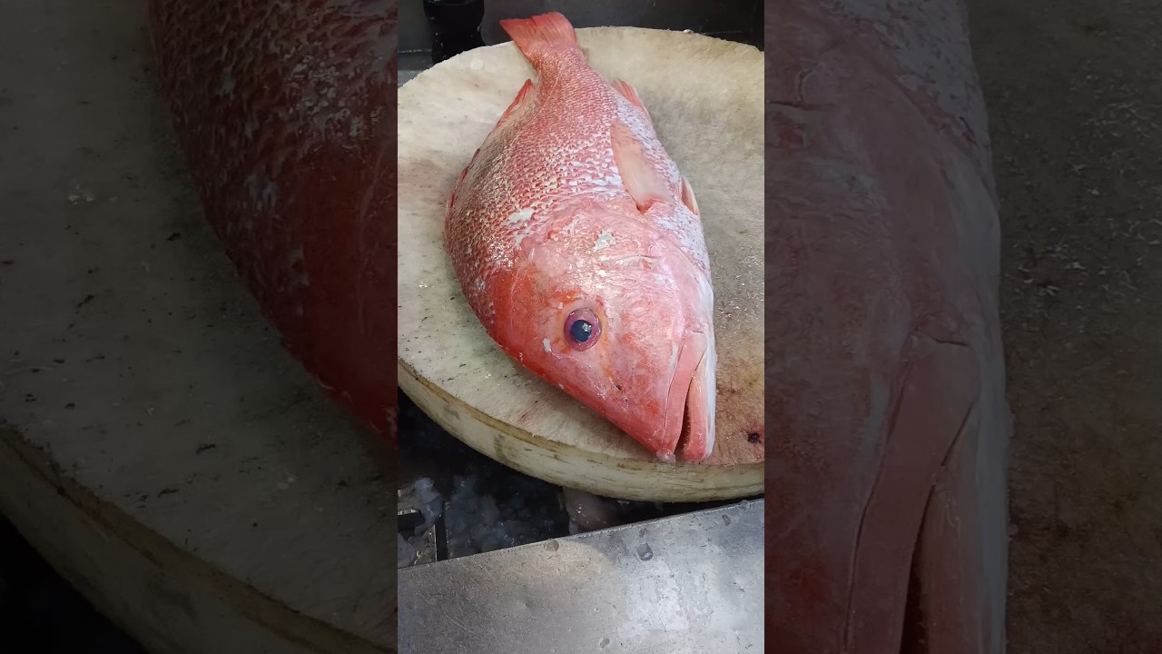 professional fresh red snapper fish cutting slice skills 