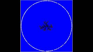 Diffusion Limited Aggregation