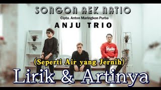 Songon aek natio|Lirik & artinya||Anju Trio #Anjutrio #Ucoknakal