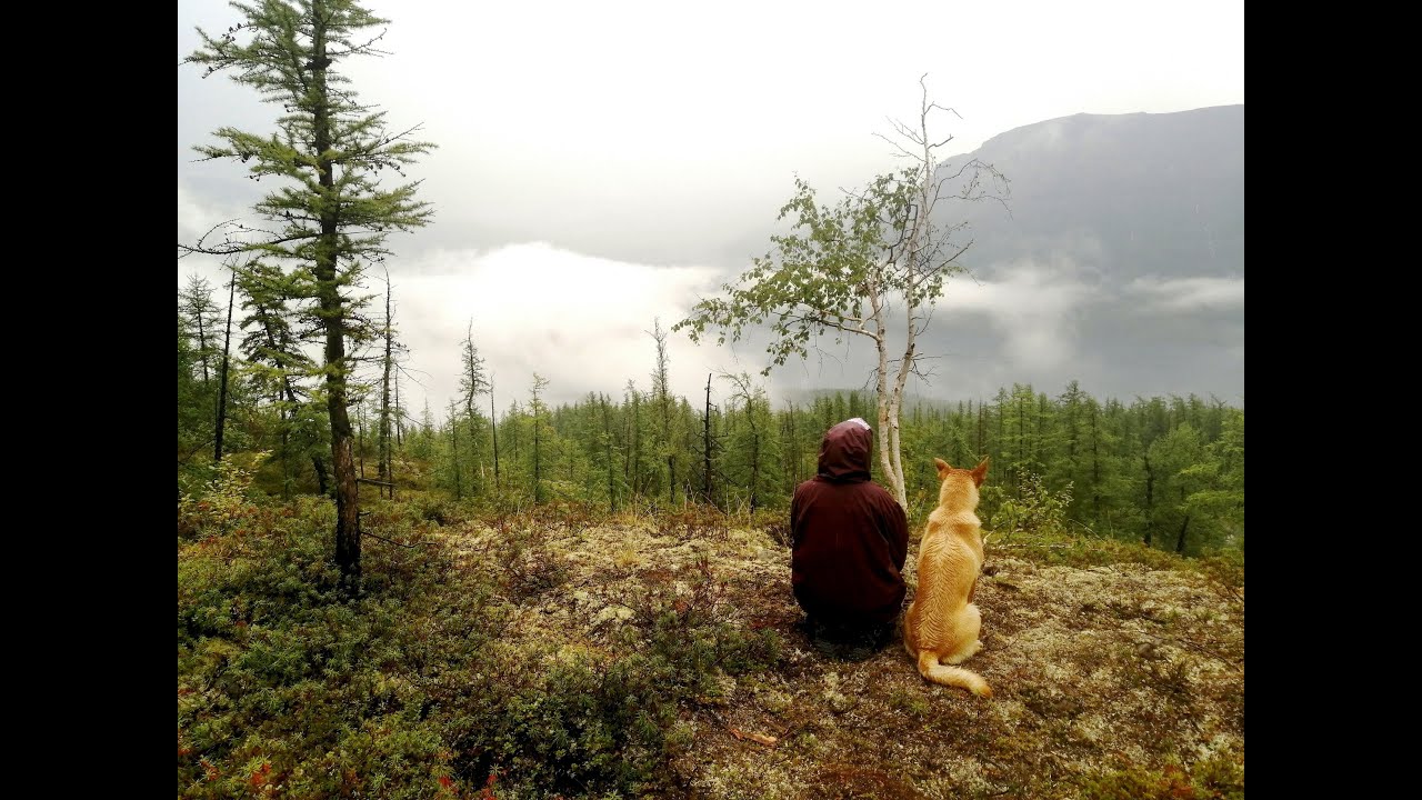 Плато Путорана - YouTube